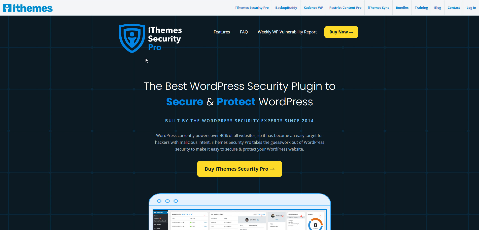 The iThemes Security Pro